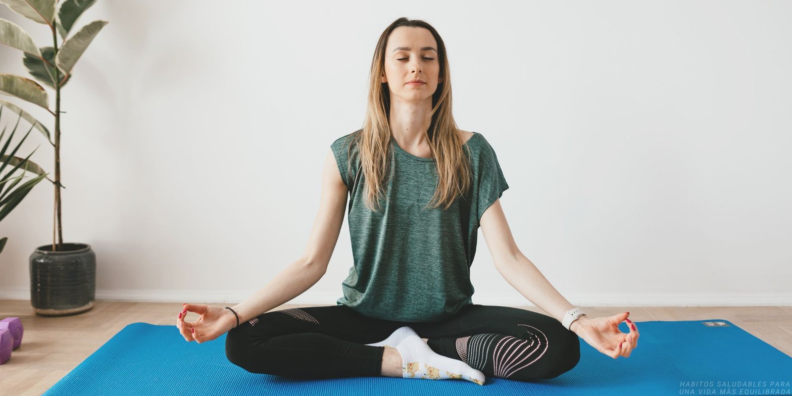 habitos saludables para una vida mas equilibrada